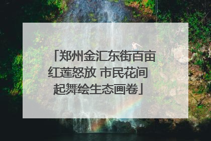 郑州金汇东街百亩红莲怒放 市民花间起舞绘生态画卷