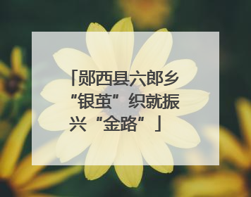 郧西县六郎乡“银茧”织就振兴“金路”
