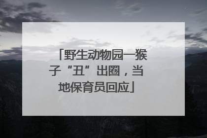 野生动物园一猴子“丑”出圈，当地保育员回应