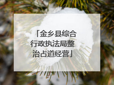 金乡县综合行政执法局整治占道经营