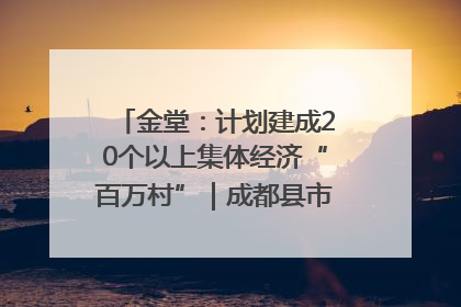 金堂：计划建成20个以上集体经济“百万村”｜成都县市新城高质量发展