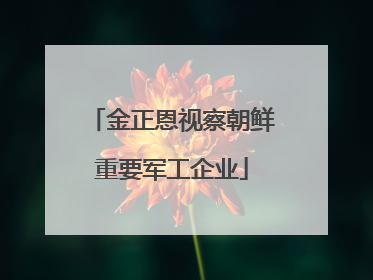 金正恩视察朝鲜重要军工企业