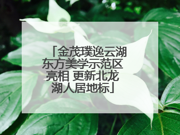 金茂璞逸云湖东方美学示范区亮相 更新北龙湖人居地标