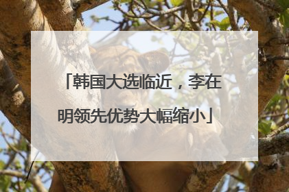韩国大选临近，李在明领先优势大幅缩小