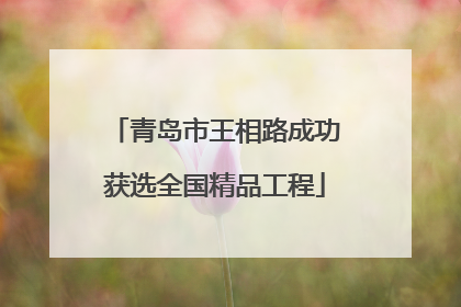 青岛市王相路成功获选全国精品工程
