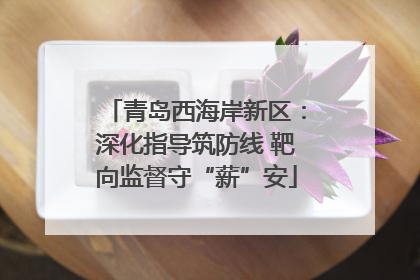 青岛西海岸新区：深化指导筑防线 靶向监督守“薪”安