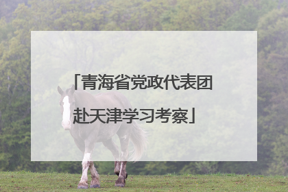 青海省党政代表团赴天津学习考察