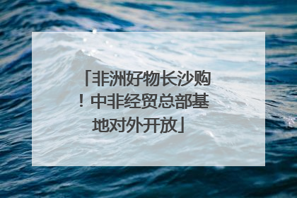 非洲好物长沙购！中非经贸总部基地对外开放