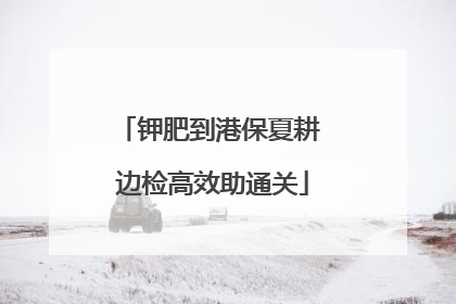 钾肥到港保夏耕 边检高效助通关