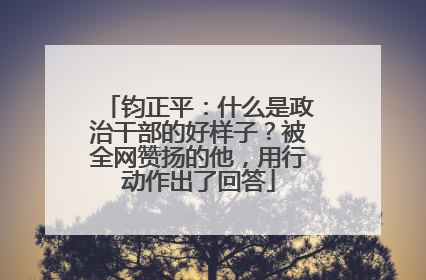 钧正平：什么是政治干部的好样子？被全网赞扬的他，用行动作出了回答