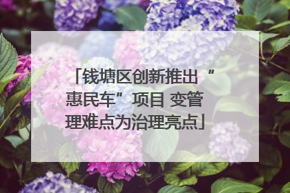 钱塘区创新推出“惠民车”项目 变管理难点为治理亮点