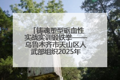 铸魂塑型砺血性 实战实训锻铁拳——乌鲁木齐市天山区人武部组织2025年度民兵集中轮训