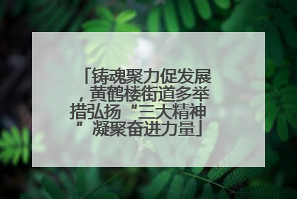 铸魂聚力促发展，黄鹤楼街道多举措弘扬“三大精神”凝聚奋进力量