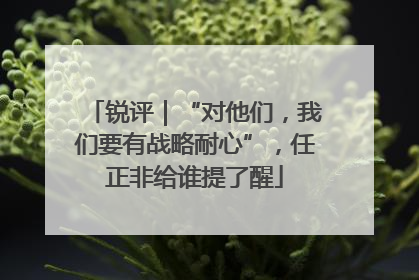 锐评｜“对他们，我们要有战略耐心”，任正非给谁提了醒