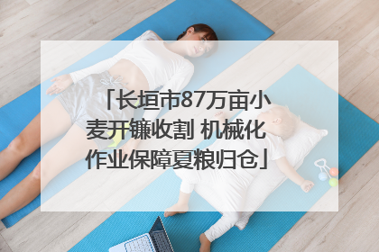 长垣市87万亩小麦开镰收割 机械化作业保障夏粮归仓