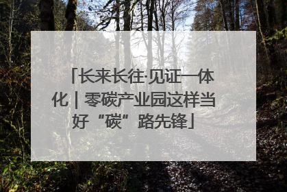 长来长往·见证一体化｜零碳产业园这样当好“碳”路先锋