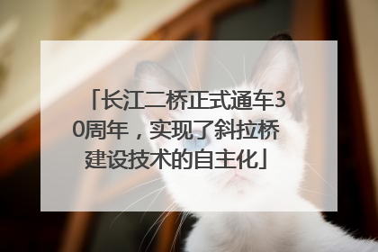 长江二桥正式通车30周年，实现了斜拉桥建设技术的自主化