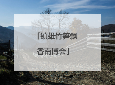 镇雄竹笋飘香南博会
