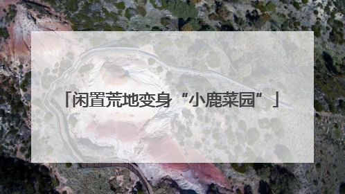 闲置荒地变身“小鹿菜园”