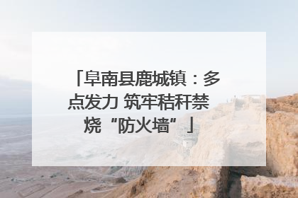 阜南县鹿城镇：多点发力 筑牢秸秆禁烧“防火墙”