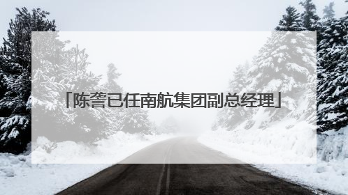 陈詟已任南航集团副总经理