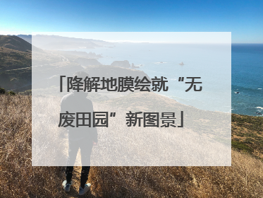 降解地膜绘就“无废田园”新图景