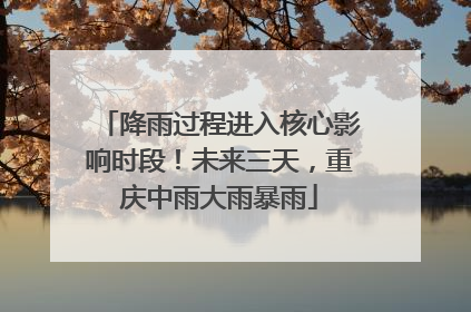降雨过程进入核心影响时段！未来三天，重庆中雨大雨暴雨