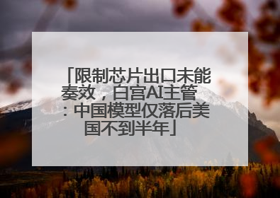 限制芯片出口未能奏效，白宫AI主管：中国模型仅落后美国不到半年