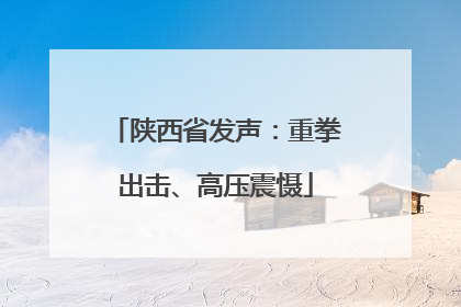 陕西省发声：重拳出击、高压震慑