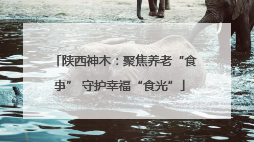 陕西神木：聚焦养老“食事” 守护幸福“食光”