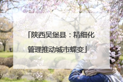 陕西吴堡县：精细化管理推动城市蝶变