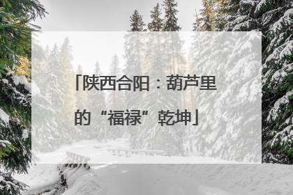 陕西合阳：葫芦里的“福禄”乾坤