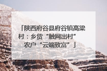 陕西府谷县府谷镇高梁村：乡货“触网出村” 农户“云端致富”
