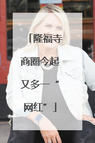 隆福寺商圈今起又多一“网红”