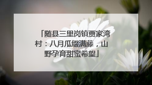 随县三里岗镇贾家湾村：八月瓜缀满藤，山野孕育甜蜜希望