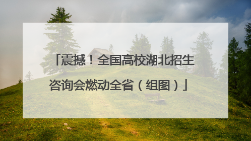 震撼！全国高校湖北招生咨询会燃动全省（组图）
