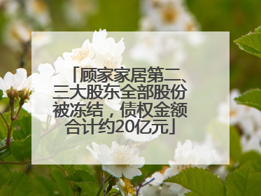顾家家居第二、三大股东全部股份被冻结，债权金额合计约20亿元