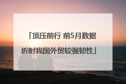 顶压前行 前5月数据折射我国外贸较强韧性