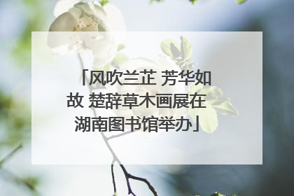 风吹兰芷 芳华如故 楚辞草木画展在湖南图书馆举办