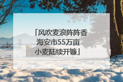 风吹麦浪阵阵香 海安市55万亩小麦陆续开镰