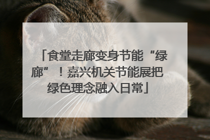 食堂走廊变身节能“绿廊”！嘉兴机关节能展把绿色理念融入日常