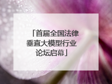 首届全国法律垂直大模型行业论坛启幕
