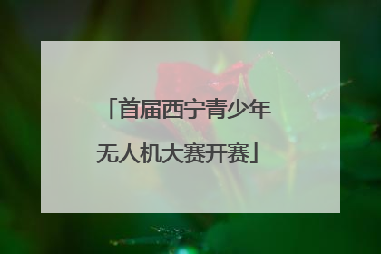 首届西宁青少年无人机大赛开赛