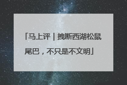 马上评｜拽断西湖松鼠尾巴，不只是不文明