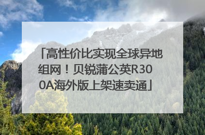高性价比实现全球异地组网！贝锐蒲公英R300A海外版上架速卖通