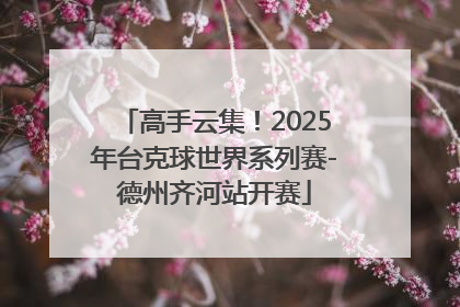 高手云集！2025年台克球世界系列赛-德州齐河站开赛