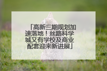 高新三期规划加速落地！丝路科学城又有学校及商业配套迎来新进展