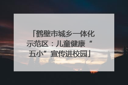 鹤壁市城乡一体化示范区：儿童健康“五小”宣传进校园