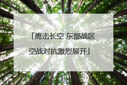 鹰击长空 东部战区空战对抗激烈展开