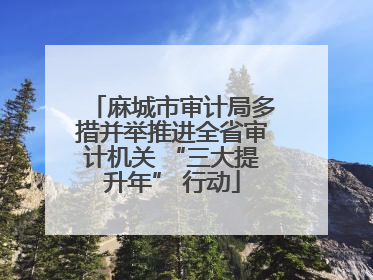 麻城市审计局多措并举推进全省审计机关 “三大提升年” 行动
